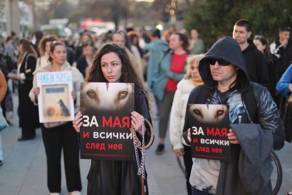 Снимка: Димитър Кьосемарлиев, Dnes.bg